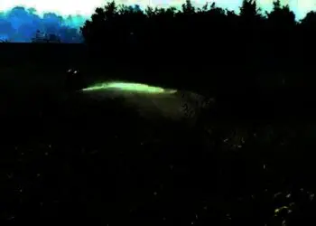 ALANG – ALANG TERBAKAR: Sekitar dua hektar lahan alang – alang, di Kav. Citra Pelamunan Indah, RT 005 RW 001, Desa Pelamunan, Kecamatan Kramatwatu, Kabupaten Serang, terbakar, Rabu (26/5). Kebakaran terjadi, diduga akibat ada warga yang membuang puntung rokok sembarangan. (SIDIK/SATELIT NEWS)