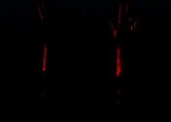Hilang Terpeleset, Ditemukan Tak Bernyawa, Nelayan Bojonegara Langsung Dibawa Keluarganya