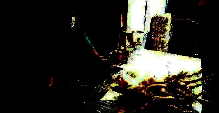 Impor Daging Picu Kenaikan Harga