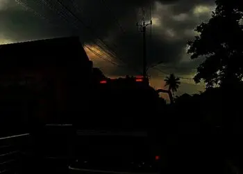 BPBD Kab. Tangerang Tanggapi Laporan Warga Lewat 112, Monyet Liar Ganggu Rumah dan SDN Cikareo