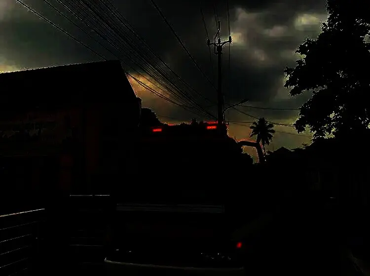 BPBD Kab. Tangerang Tanggapi Laporan Warga Lewat 112, Monyet Liar Ganggu Rumah dan SDN Cikareo