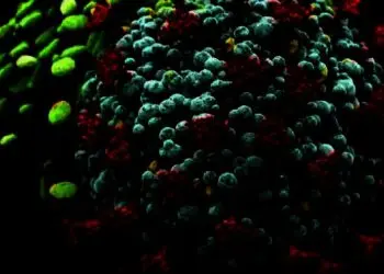 Penyebaran Virus Covid-19 Varian Baru Dilacak