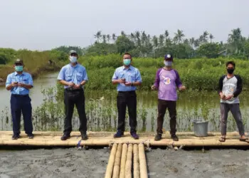 IKPP Tangerang Tanam 100 Ribu Bibit Mangrove