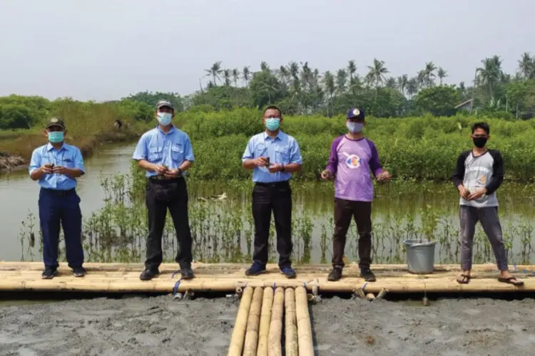 IKPP Tangerang Tanam 100 Ribu Bibit Mangrove