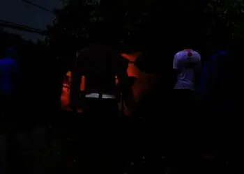Hujan Deras di Tangsel, Mobil Brio tertimpa Pohon Tumbang