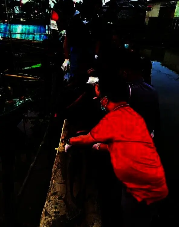 Geger Ada Mayat Pria Mengapung di Sungai Cimanceuri