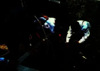 Pemkot Tangerang Bersiap Panen Lele Secara Virtual