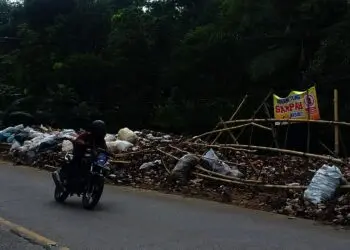 Pinggir Jalan Raya Saketi-Labuan Pandeglang Jadi Tempat Sampah Liar