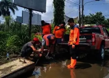 Tak Cuma Tangani Bencana, BPBD Lebak Juga Urus Ini