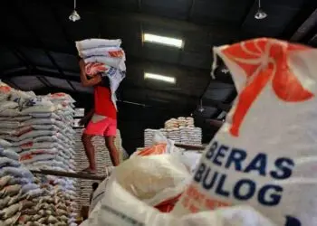 CBP Kabupaten Serang Menipis, Kebutuhan 600 Ton, Stok Yang Ada 340 Ton