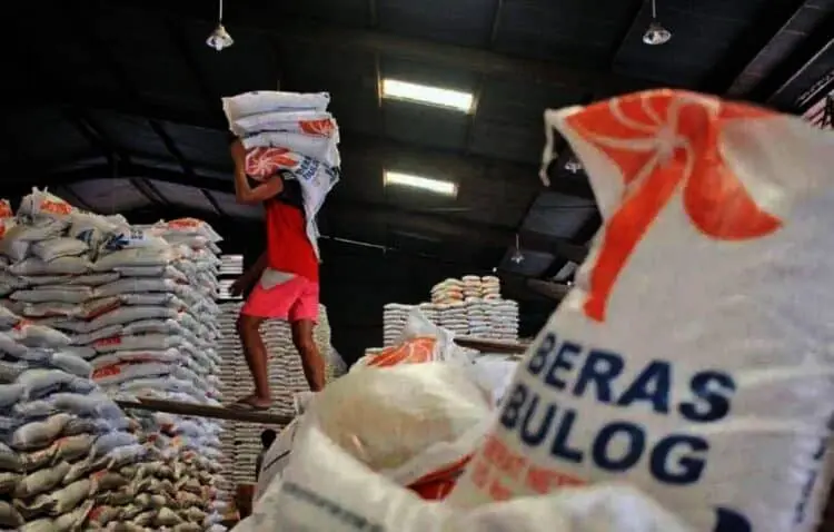 CBP Kabupaten Serang Menipis, Kebutuhan 600 Ton, Stok Yang Ada 340 Ton
