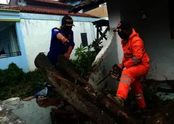 Belasan Rumah Rusak, Sejumlah Pohon Tumbang, Saat Hujan Deras Disertai Angin Kencang Melanda Kota Cilegon