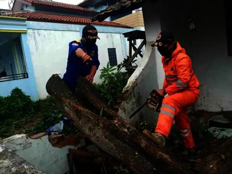 Belasan Rumah Rusak, Sejumlah Pohon Tumbang, Saat Hujan Deras Disertai Angin Kencang Melanda Kota Cilegon