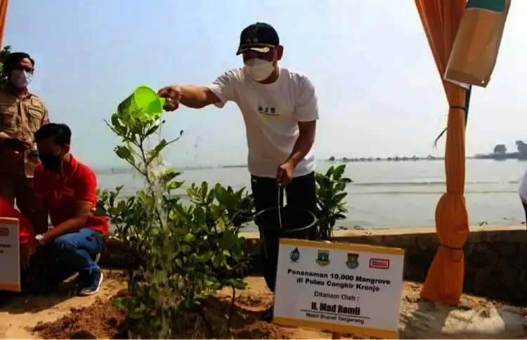 Hadang Abrasi di Kabupaten Tangerang, 11.000 Mangrove Ditanam