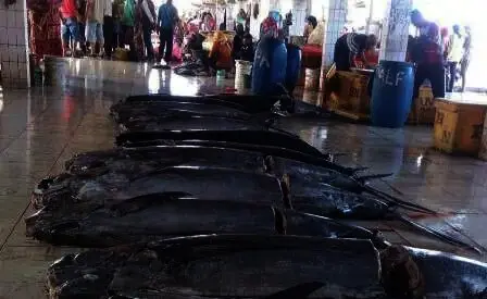 Ditarget PAD Rp 1,2 Miliar, Segini Capaian Dinas Perikanan Lebak pada Juni Ini