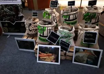 10 Jenis Kopi Indonesia ada di Tangerang, Event Kopi Craft Indonesia