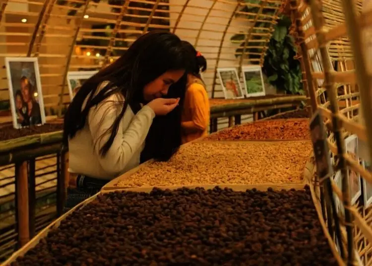 Kopi Indonesia dalam Gelaran Kopi Craft Indonesia