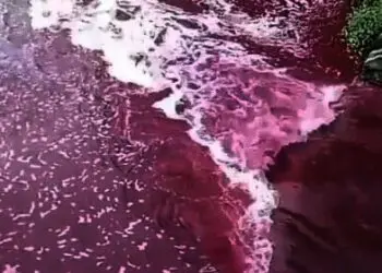 Heboh Kali Mookervart di Kota Tangerang Berwarna Merah