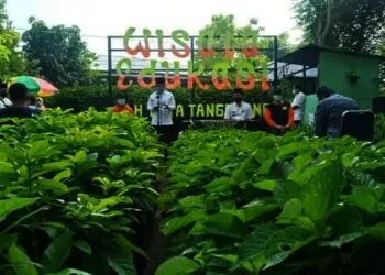 Pemkot Tangerang Punya Wisata Edukasi, Ini Lho Fasilitasnya
