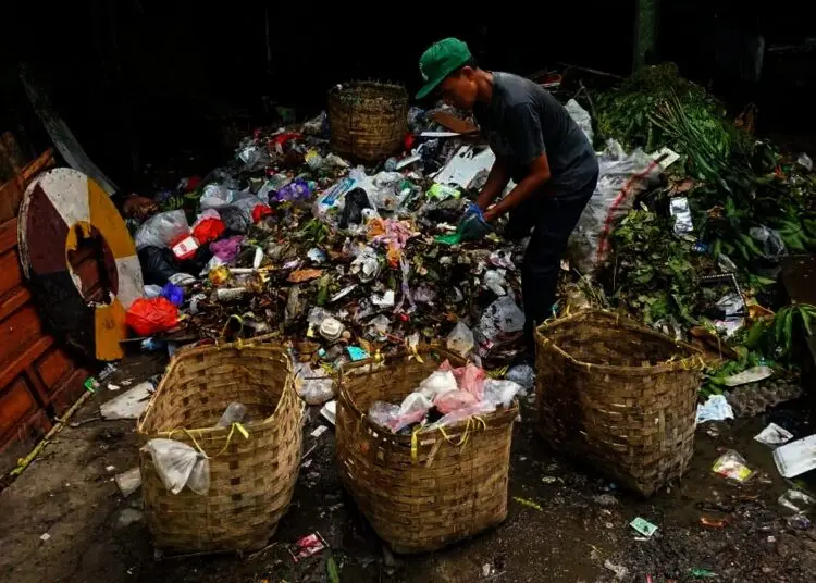 Melihat, Penguraian Sampah Organik di TPST Benua Hijau