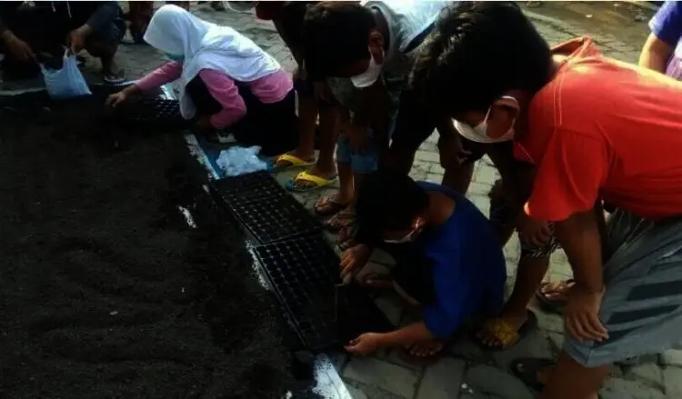 Isi Waktu Liburan, Anak-anak Generasi Gerbang BETAH Diajari Bercocok Tanam