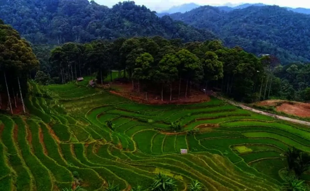 Wisata di Banten Tak Hanya Anyer, Coba Rasakan Keasrian Hutan Adat Kasepuhan Karang