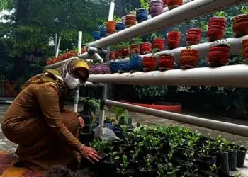 Bertekad Pertahankan Adiwiyata Mandiri, SDN Tanah Tinggi 3 Jaga Lingkungan