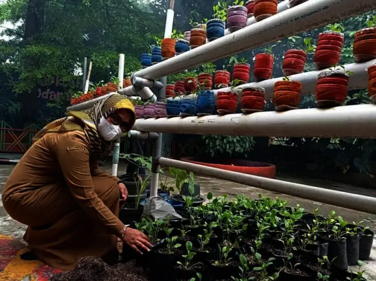 Bertekad Pertahankan Adiwiyata Mandiri, SDN Tanah Tinggi 3 Jaga Lingkungan