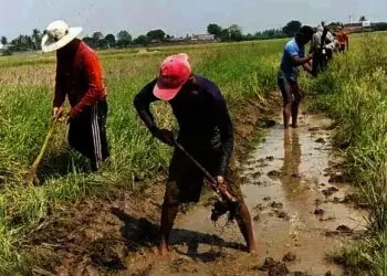 Saluran Air Irigasi Tersier di Kronjo Tangerang Direvitalisasi