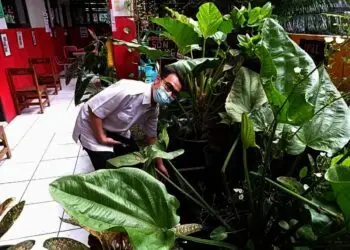 SDN Karawaci Baru 6 Lanjut Adiwiyata Mandiri