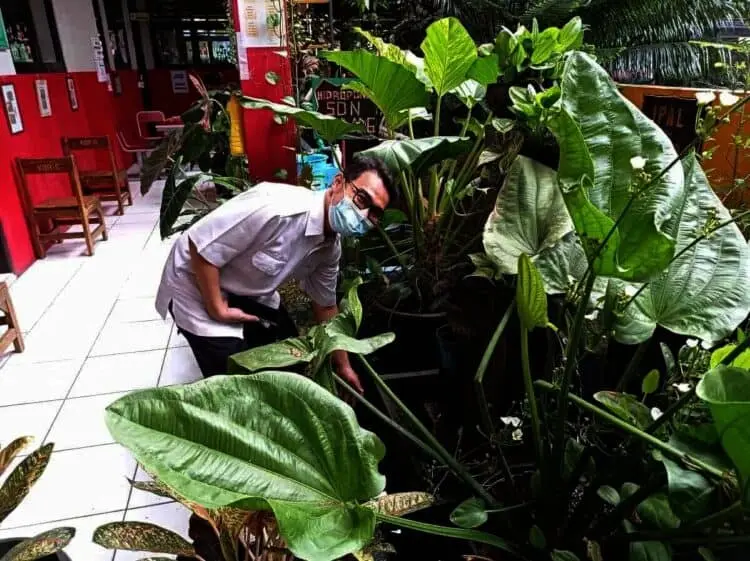 Punya Banyak Inovasi, SDN Karawaci Baru 6 Berharap Dapat Adiwiyata Mandiri