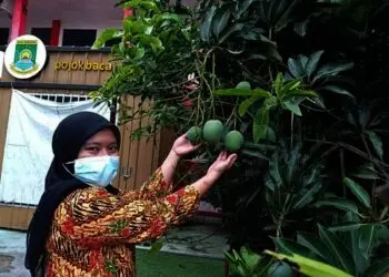 Vakum Empat Tahun, SDN Taman Sukarya 1 Raih Adiwiyata Banten