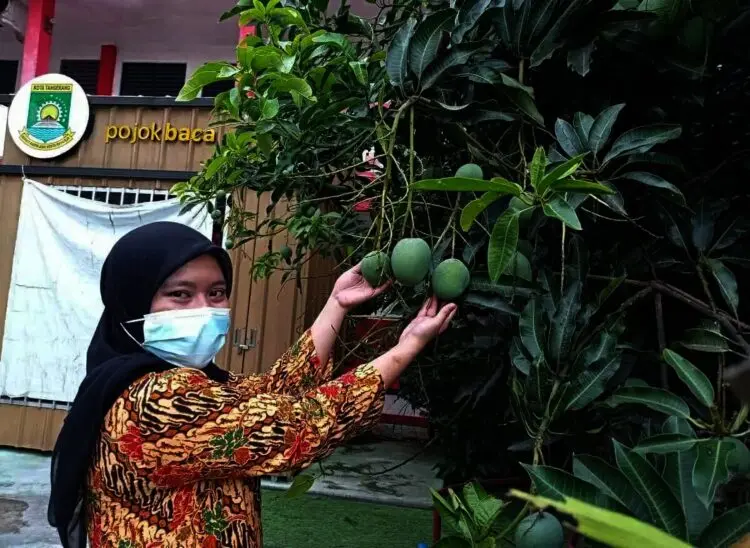 Vakum Empat Tahun, SDN Taman Sukarya 1 Raih Adiwiyata Banten