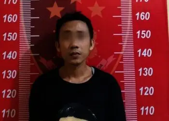 Berniat Beli Tomat, Malah Curi Handphone, Pria 37 Tahun Ditangkap