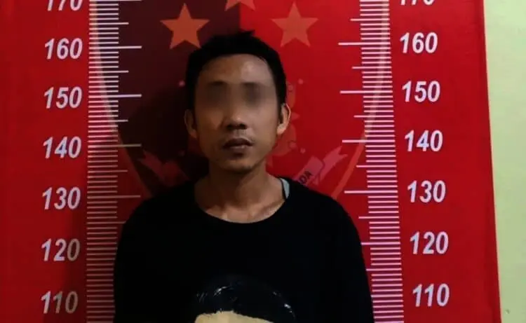 Berniat Beli Tomat, Malah Curi Handphone, Pria 37 Tahun Ditangkap