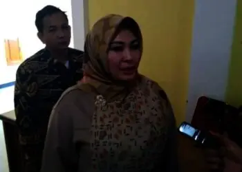 Jawab Kegelisahan Pengunduran Pilkades, Irna Bakal Live di Instagram, Ini Waktunya