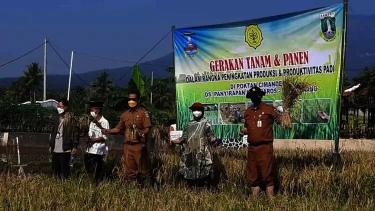 Perkuat Ketahanan Pangan, Distan Banten Tingkatkan Produksi Beras