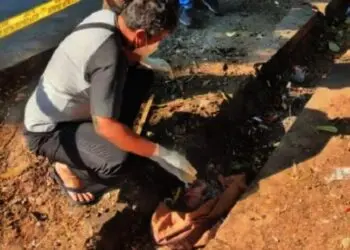 Petugas Kebersihan Temukan Mayat Bayi di Selokan
