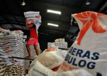 Bulog Siapkan 200 Ribu Ton Beras untuk Bantuan Sosial