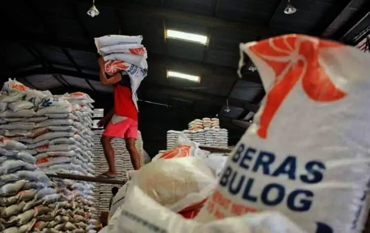 Bulog Siapkan 200 Ribu Ton Beras untuk Bantuan Sosial