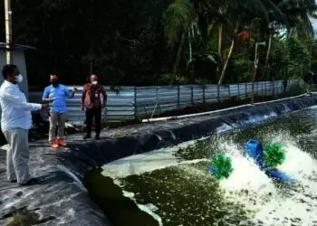 Ketua DPRD Pandeglang Minta Tambak Udang di Carita Ditutup