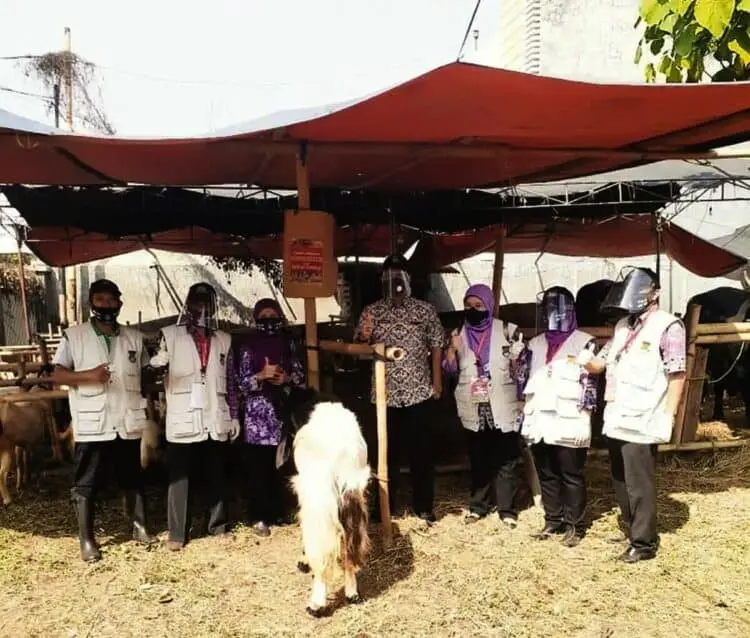 735 Ekor Sapi Disembelih di Kabupaten Tangerang