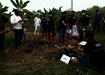 DS Seorang Pengangguran, Membunuh SZ Setelah Lamaran Ditolak