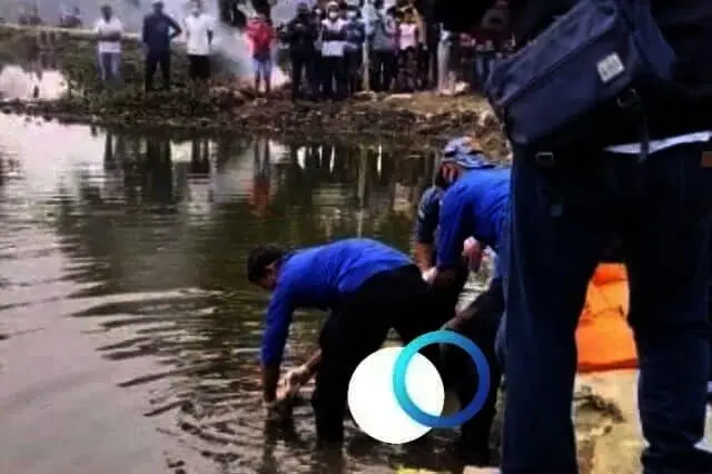 Bersihkan Eceng Gondok, Petugas Kebersihan Temukan Mayat Mengambang di Situ Cipondoh