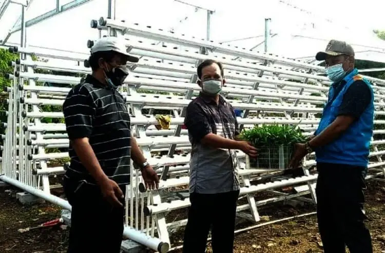 PT IKPP Beri Bantuan Hidroponik dan Budidaya Lele