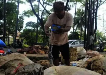 Warga Ini Raup Untung dari Kulit Hewan Kurban