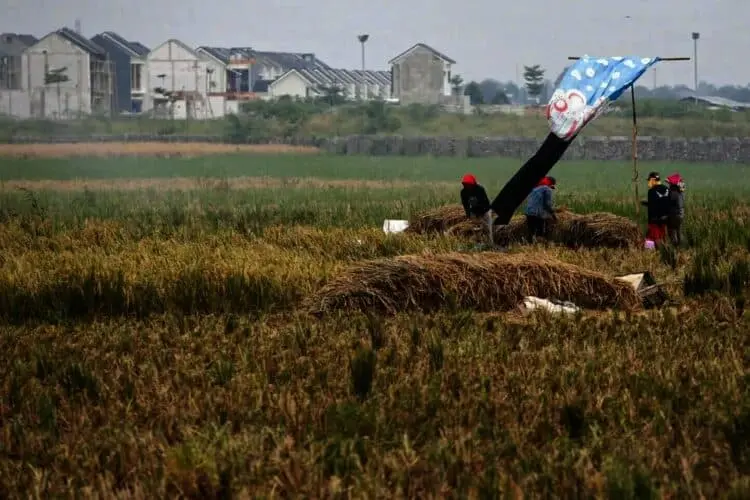 37 Ribu Hektar Lahan Pertanian di Banten Diawasi