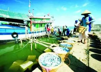 Nelayan di Ketapang Keluhkan Dermaga Dangkal