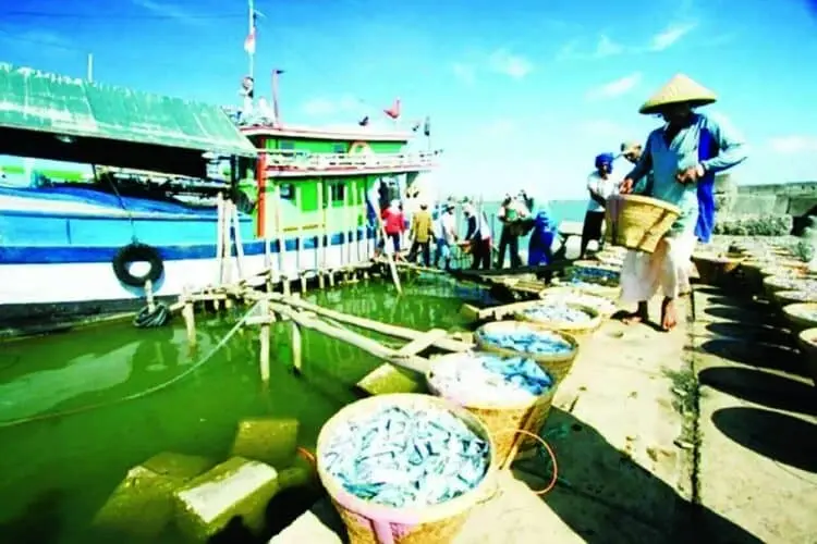 Nelayan di Ketapang Keluhkan Dermaga Dangkal