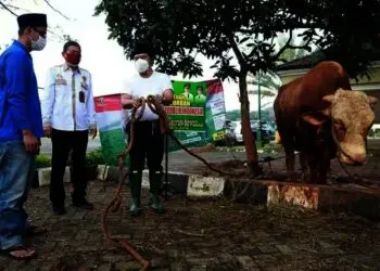 SERAH TERIMA HEWAN KURBAN–Sekda Banten Al Muktabar, secara simbolis menyerahkan hewan kurban Hari Raya Iduladha 1442 H, Rabu (21/7/2021), di Masjid Raya Al Bantani, Kawasan Pusat Pemerintahan Provinsi Banten (KP3B), Curug, Kota Serang. (ISTIMEWA)
